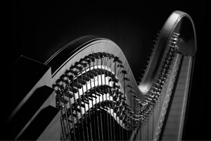 cours de harpe cle des arts guadeloupe