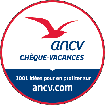 logo ancv