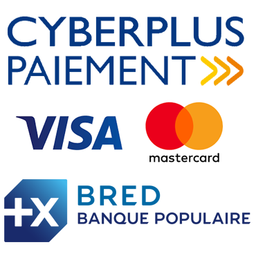 paiement en ligne